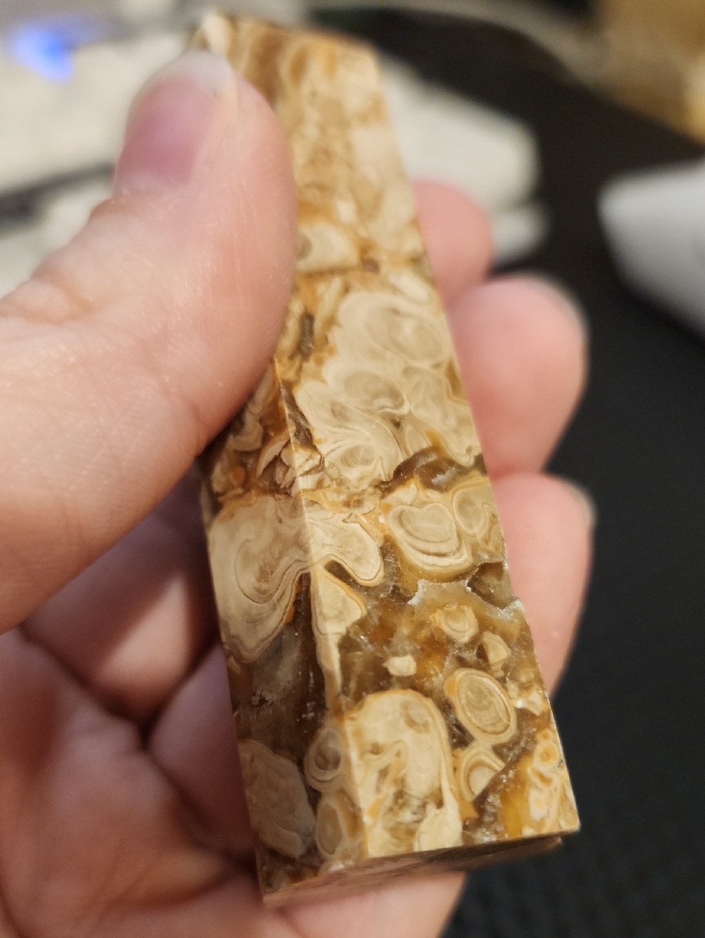 Fossiliferous Limestone/Calcite Point/Tower - Picture 9 of 11